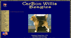 Desktop Screenshot of carbonwillis.com