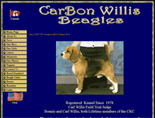 Tablet Screenshot of carbonwillis.com